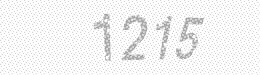 Visual security code — type the characters shown in the image